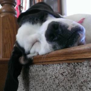 Meet your Posher, Lesley